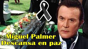 View miguel palmer, m.a.'s profile on linkedin, the world's largest professional community. Sucedio Hace Unos Minutos Dura Noticia Sacude Al Mundo Del Espectaculo Miguel Palmer Hoy 2021 Celebrity Land