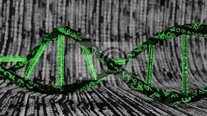 Plakat Bioinformatyka koncepcja biotechnologii DNA i tła obliczeniowego, na  wymiar • nowoczesny, człowiek, tło • REDRO.pl