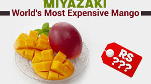 Miyazaki prefecture in south kyushu has a warm climate, gorgeous waters, and abundant nature. O055enabdpp7lm