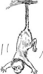 How To Draw A Monkey Hanging From A Tree Pictures 2 Monkey Coloring Pages Animal Embroidery Designs Animal Embroidery