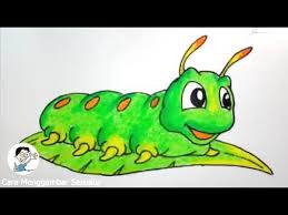 / pada dasarnya sketsa digunakan sebagai kerangka di dalam karya seni lukis. Cara Menggambar Ulat Lucu Untuk Anak Youtube