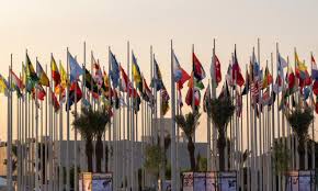 Diversity, Equity, and Inclusion: The Forgotten Lessons of the UDHR