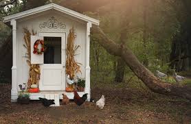 The freddy chicken coop is a popular option for raising chickens in backyards and small farms alike. Stylish Chicken Coops For Backyard Chickens Read Now