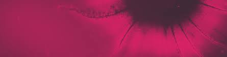 When symptoms do occur, what they are like and how often you have them will depend on the size and location of the metastatic tumors. Stage 4 Advanced Or Metastatic Breast Cancer Nbcf