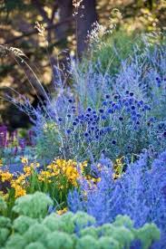 Blue Gardens Are Sublime Heaveniasagarden Plants Beautiful Gardens Garden Flowers Perennials