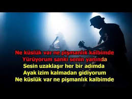 Sarki Panosundaki Pin