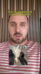 Circulația pe Drumurile cu 3 Benzi!...