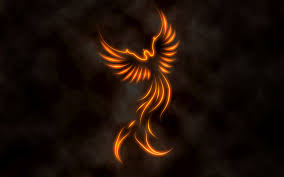 Fire Phoenix Fantasy Art Fire Phoenix Wallpaper Background 1680 X 1050 Id 165420 Wallpaper Con Imagenes Tatuaje De Fenix Ave Fenix Tatuaje Tatuajes Dragones Silhouette of person standing in front of tree wallpaper, game animation illustration. pinterest