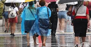 내일도 우산 챙기세요… 중부는 폭우, 남부는 무더위 - 조선비즈