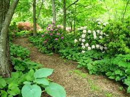 Woodland Garden Woodland Garden Ideas Woodland Garden Design