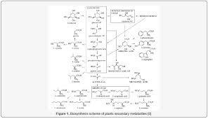 Maybe you would like to learn more about one of these? Impact Of Various Environmental Factors On Secondary Metabolism Of Medicinal Plants