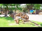 Walking in moshav. EIN VERED, Israel - YouTube