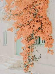 We did not find results for: Pinterest Eydeirrac Aesthetic Wallpapers Aesthetic Pastel Wallpaper Photo Wall Collage