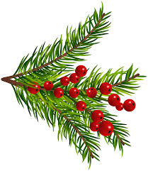Pine Tree Branches Decor Png Clipart Gallery Yopriceville High Quality Images And Transparent Png Free Clipart Red and green baubles, christmas ornament christmas decoration christmas lights, hanging christmas balls, santa claus, christmas card png. gallery yopriceville