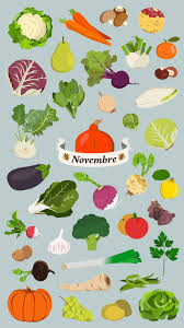 Illustration Des Fruits Et Legumes De Saison Du Mois De Novembre Illustration De Malo Malo Illustration De Fruits Illustration Vegetale Fruits De Saison