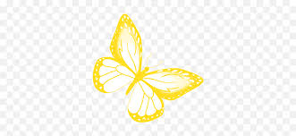 We did not find results for: Butterfly Yellow Gif Butterfly Yellowbutterfly Animated Yellow Butterfly Gif Png Butterfly Gif Transparent Free Transparent Png Images Pngaaa Com