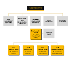 nok air investor relations