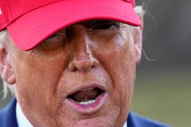 K-9 Roman dies following complications from surgery for life-threatening  illness