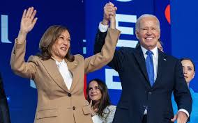 Image result for Bidens diversa