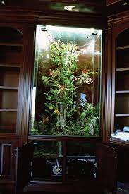 The Best Reptile Misting Systems Reptiles Magazine