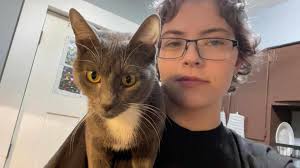 Tilly was a puppy found as a stray