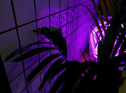 Aesthetic tumblr 300x300 image for spotify largest wallpaper portal. Image About Grunge In Purple By N2srin 3bd On We Heart It