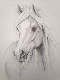 Check spelling or type a new query. Lovely Horse Sketch Horse Drawings Pencil Drawings Of Animals Horse Sketch