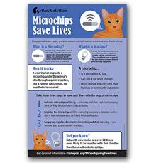We did not find results for: Microchips Save Lives Alley Cat Allies