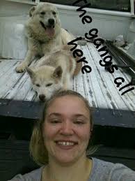 Reported sighting at 2 am this morning by the Doyle school. Please call  931-259-2284 with any information.