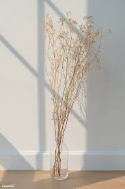 Dried Gypsophila In A Glass Vase On The Floor Premium Image By Rawpixel Com Teddy Rawpixel Bunga Kering Doodle Bunga Fotografi Abstrak