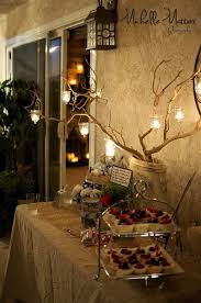 Rustic Baby Shower Lights I Like The Idea Of Branches Just Don T Know For The Lighting Rustic Baby Shower Baby Shower Decorations Baby Shower Woodland