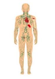 Maybe you would like to learn more about one of these? Anatomi Tubuh Manusia Pengertian Organ Tubuh Dan Pembagian