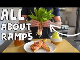 Best of: Omnivorous Adam