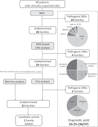 Comprehensive Genetic Analysis Of 57 Families With