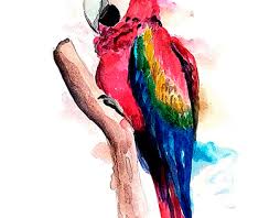 La guara era relacionada con el dios vucub caquix o siete guacamayas. Guacamaya Projects Photos Videos Logos Illustrations And Branding On Behance