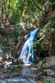 Ganni91Photography by: Jonathan Agius