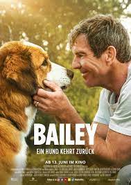 Maya henry is an actress and model. Bailey Ein Hund Kehrt Zuruck Schauspieler Regie Produktion Filme Besetzung Und Stab Filmstarts De