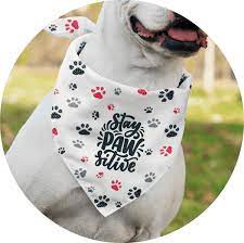 In our catalog, you will find two types of dog bandanas that will suit most dogs and look hella cute both. Create Personalized Custom Dog Bandanas No Money Upfront