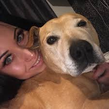 Me frenchie lay down