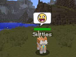 Minecraft Pet Cats How To Tame And Feed Them Levelskip