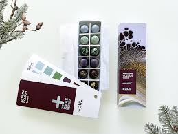 ဂျိုးဂါဒင်နာ ဆိုတဲ့ အလယ်တန်းပြဂီတ ဆရာတစ်ယောက်မှာ ဂျပ်ဇ်ဂီတကို စင်မြင့်ပေါ်မှာ. Chocolate Swatch Box Competition 2020 Soul Design Group Tauranga