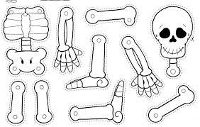 I know you have a great idea about the different types and breed of dogs. Free Printable Skeleton Coloring Pages For Kids