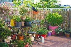 Panier en fibre de coco dans sup. Cottage Garden En Pots Un Jardin A L Anglaise Sur Mon Balcon Mango And Salt