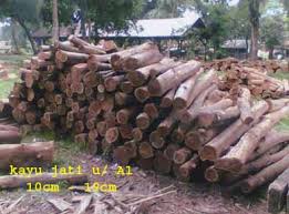 Ciri khas kayu jati jenis ini terletak pada bentuknya yang lurus tanpa bengkokan di setiap sudut maupun sisi kayu. Sell Buy Wood Jual Kayu Log Kuningan Cirebon