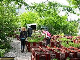 Rund um das schloss gab es einen wunderschönen garten, in dem die kleine prinzessin mira gerne spielte. Prinzessinnengarten Wikipedia