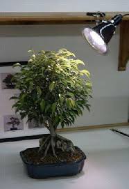 We did not find results for: Cheap 250 Watt Grow Light Kit Find 250 Watt Grow Light Kit Deals On Line At Alibaba Com