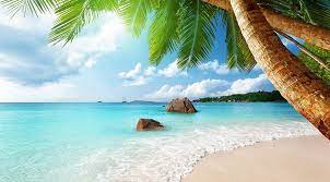 A collection of the top 38 beach pc wallpapers and backgrounds available for download for free. Beach 4k New Hd For Desktop Hd Wallpaper Wallpaperbetter