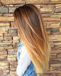 This style involves teal green ombre on the tips of the hair giving it a funky. Long Shaggy Bob Brown Ombre Hair Solutions For Any Taste The Trending Hairstyle