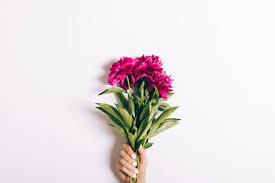 In some flowers, at the base of pedicel where it is attached to the main stem or branch, a small. Coronavirus Woolworths Launches Contactless Floral Deliveries For Mother S Day Flowers Eat Out Delicious Com Au