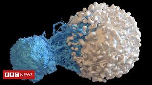 Cancer is refers to a group of more than a hundred diseases that can originate in many different parts of the body. Immune Discovery May Treat All Cancer Bbc News